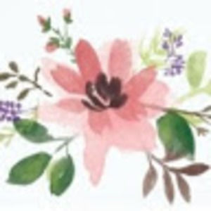 Meet your Posher, Meredeth